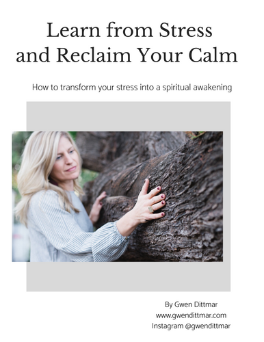 Learn from Stress  and Reclaim Your Calm